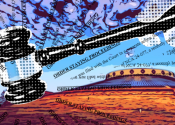 Stay issued in freedmen case